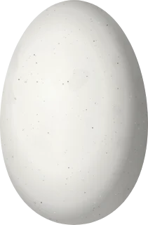 Illustration of an Oaxaca Hummingbird (Eupherusa cyanophrys) egg, 13.5 × 8.9 mm