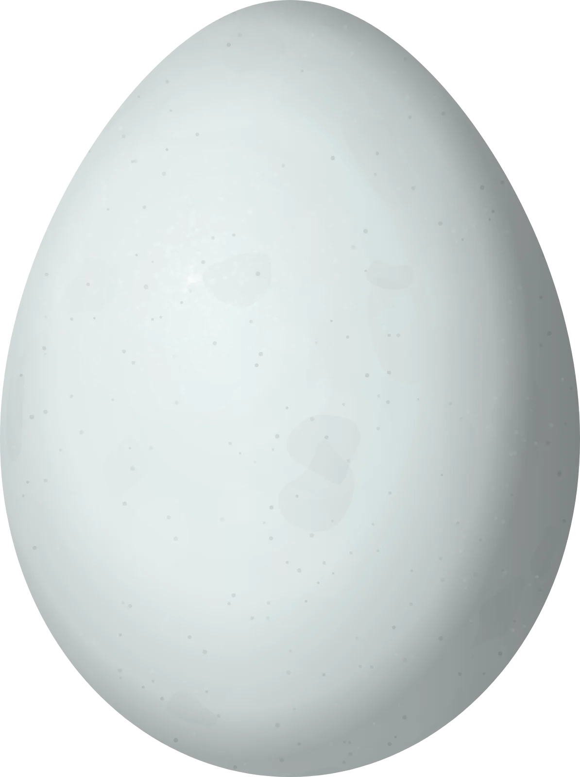 Illustration of an Oaxaca Sparrow (Aimophila notosticta) egg, 20.9 × 15.6 mm
