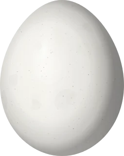 Illustration of an Ocellated Piculet (Picumnus dorbignyanus) egg, 15.3 × 12.2 mm