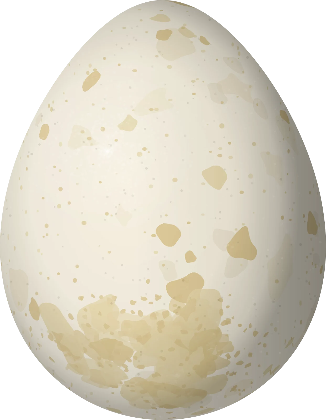 Illustration of an Ocellated Quail (Cyrtonyx ocellatus) egg, 32.3 × 25.1 mm