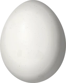 Illustration of an Ochraceous Piculet (Picumnus limae) egg, 15.3 × 12.2 mm