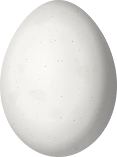 Illustration of an Ochre-backed Woodpecker (Celeus ochraceus) egg, 29 × 21.7 mm