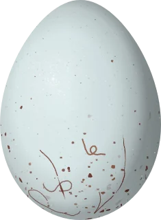 Illustration of an Olivaceous Siskin (Spinus olivaceus) egg, 16.9 × 12.4 mm