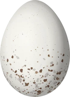 Illustration of an Olive-backed Euphonia (Euphonia gouldi) egg, 18.1 × 13 mm