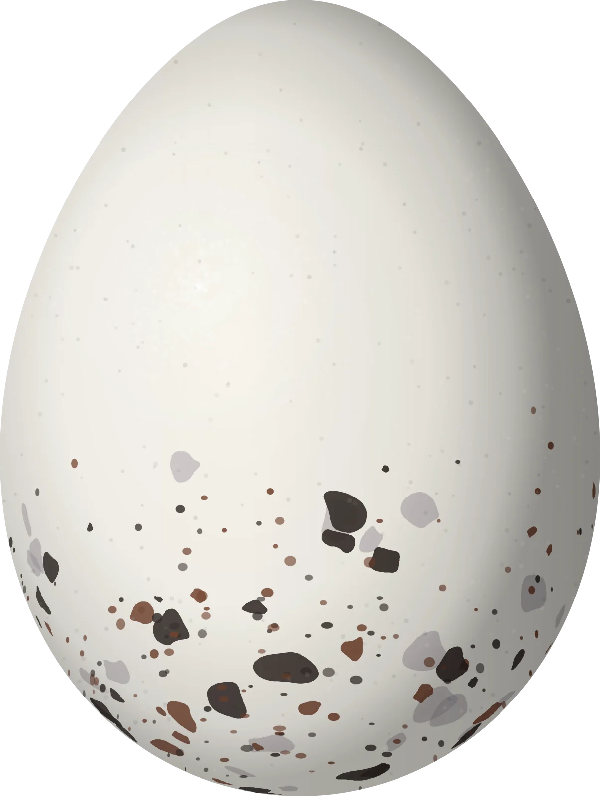 Illustration of an Olive-crowned Crescentchest (Melanopareia maximiliani) egg, 21.5 × 16.2 mm