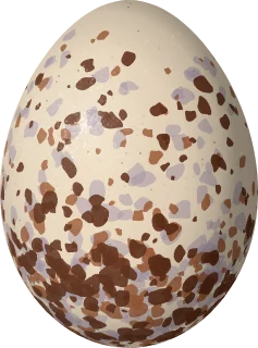 Olive-sided Flycatcher egg, 21.7 × 16.1 mm