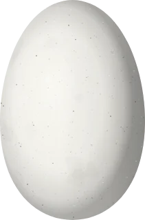 Illustration of an Olive-spotted Hummingbird (Talaphorus chlorocercus) egg, 13.5 × 8.9 mm