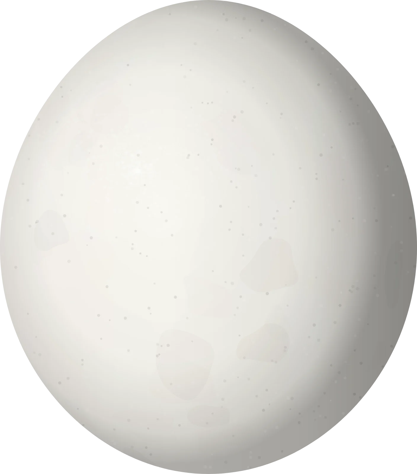 Illustration of an Olive-throated Parakeet (Eupsittula nana) egg, 25 × 22 mm