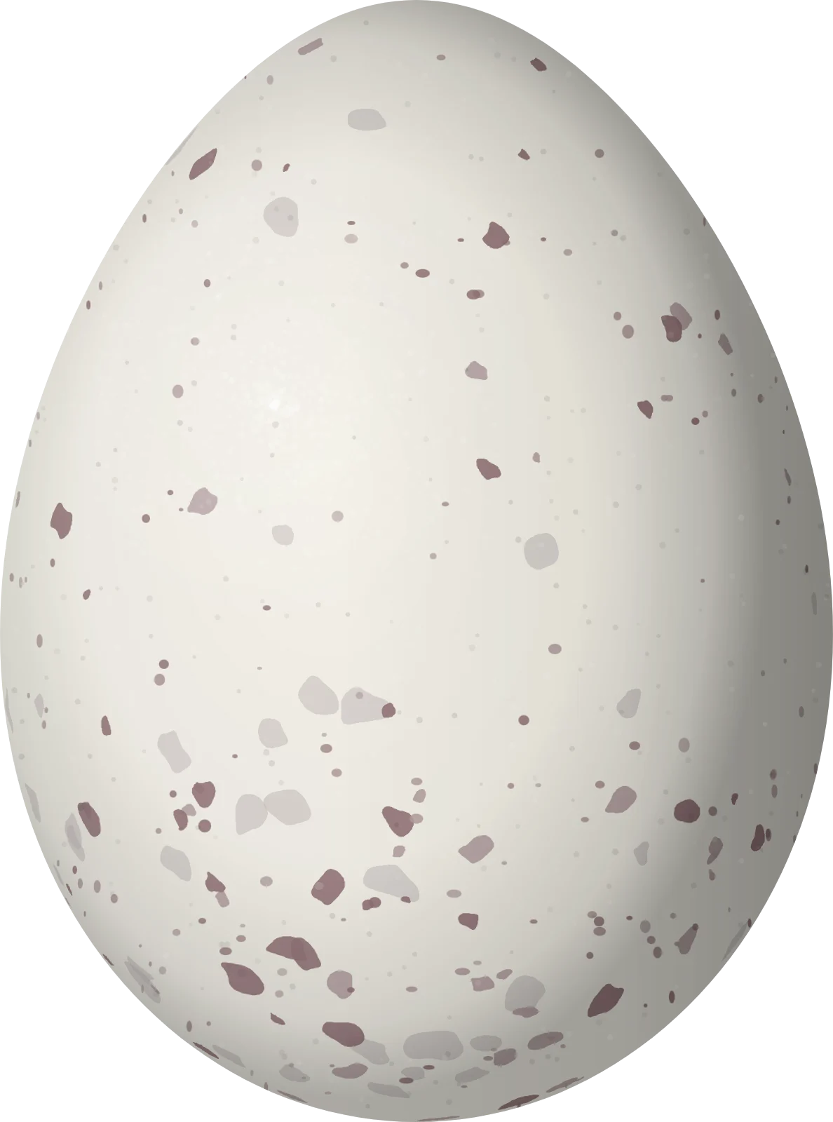 Illustration of an Opal-crowned Manakin (Lepidothrix iris) egg, 19.4 × 14.4 mm