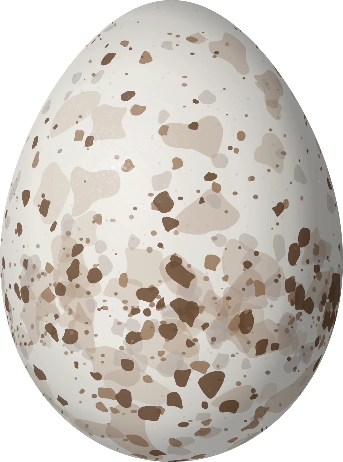 Illustration of an Orange-bellied Manakin (Lepidothrix suavissima) egg, 19.4 × 14.4 mm