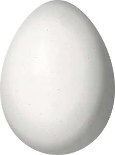 Illustration of an Orange-breasted Thornbird (Phacellodomus ferrugineigula) egg, 22.9 × 17 mm
