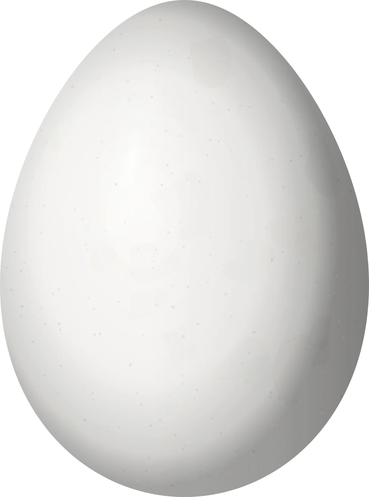 Illustration of an Orange-breasted Thornbird (Phacellodomus ferrugineigula) egg, 22.9 × 17 mm