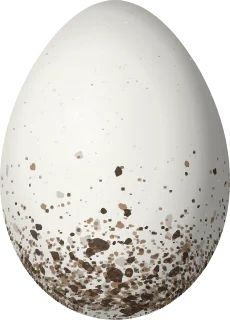 Illustration of an Orange-crowned Euphonia (Euphonia saturata) egg, 18.1 × 13 mm