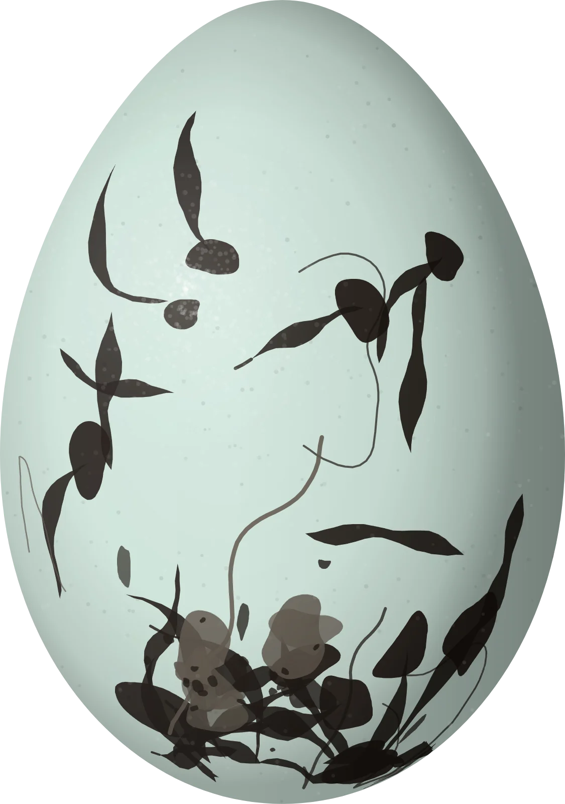 Illustration of an Orange-crowned Oriole (Icterus auricapillus) egg, 23.9 × 16.8 mm