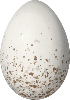 Illustration of an Orange-eared Tanager (Chlorochrysa calliparaea) egg, 22.1 × 15.5 mm