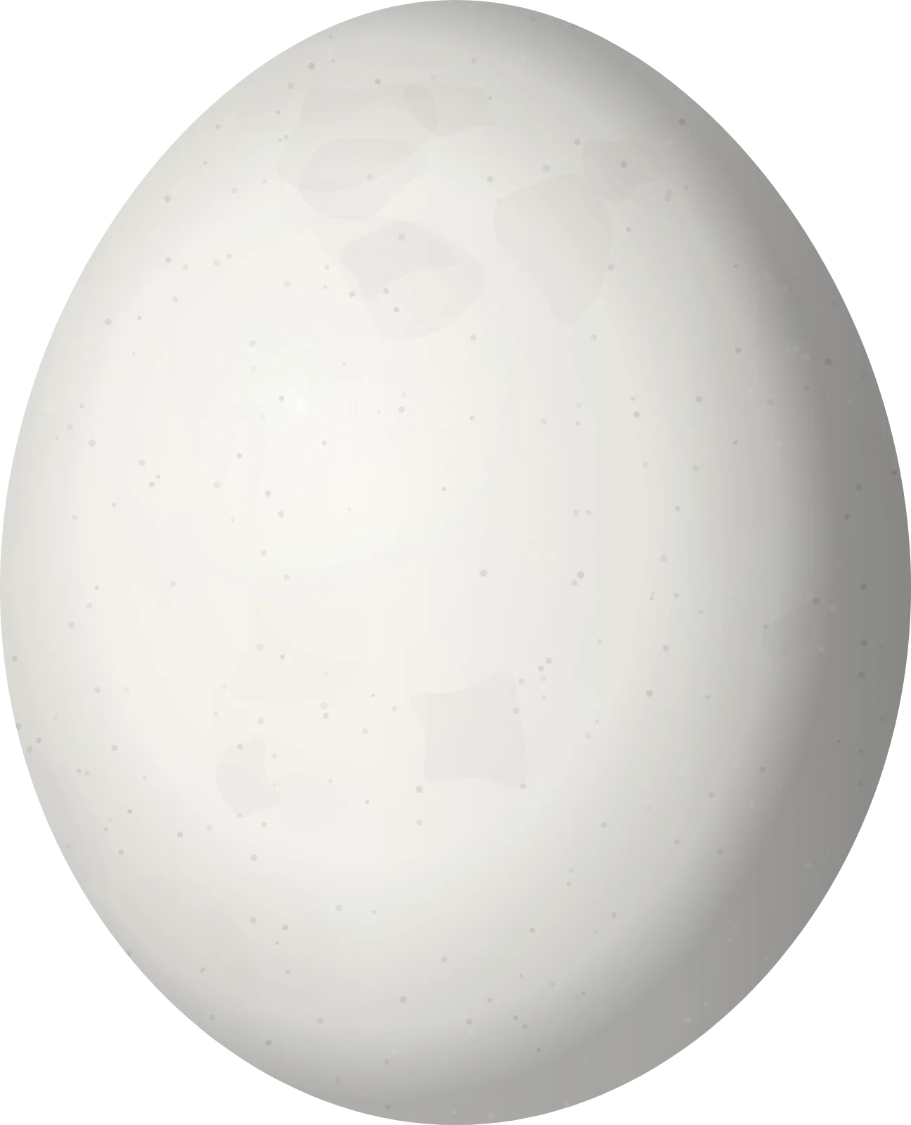 Illustration of an Orange-fronted Parakeet (Eupsittula canicularis) egg, 25.3 × 20.5 mm