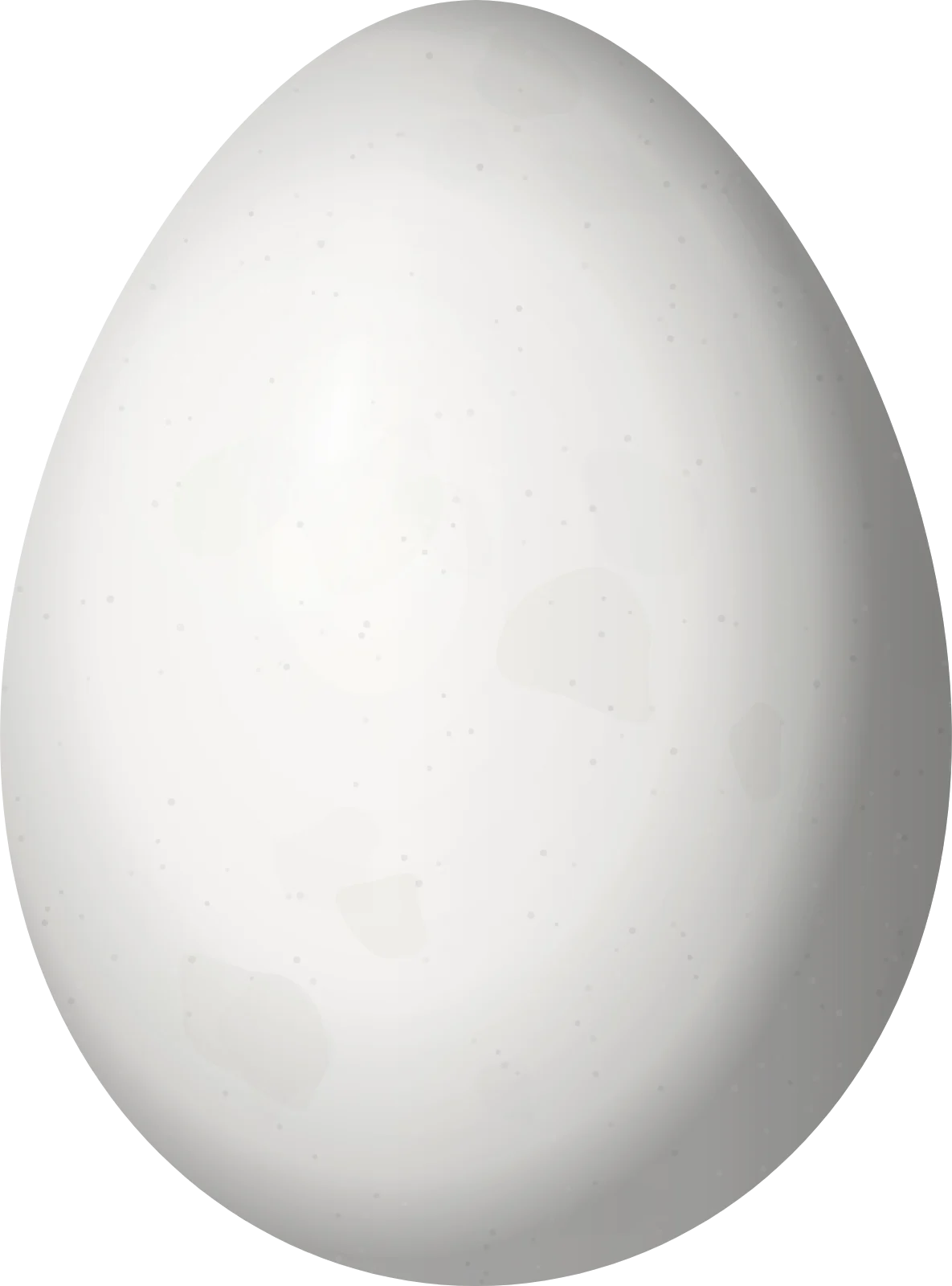 Illustration of an Orinoco Softtail (Thripophaga cherriei) egg, 24.3 × 18 mm