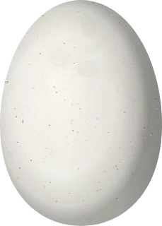 Illustration of an Outcrop Sabrewing (Campylopterus calcirupicola) egg, 15.5 × 11.1 mm