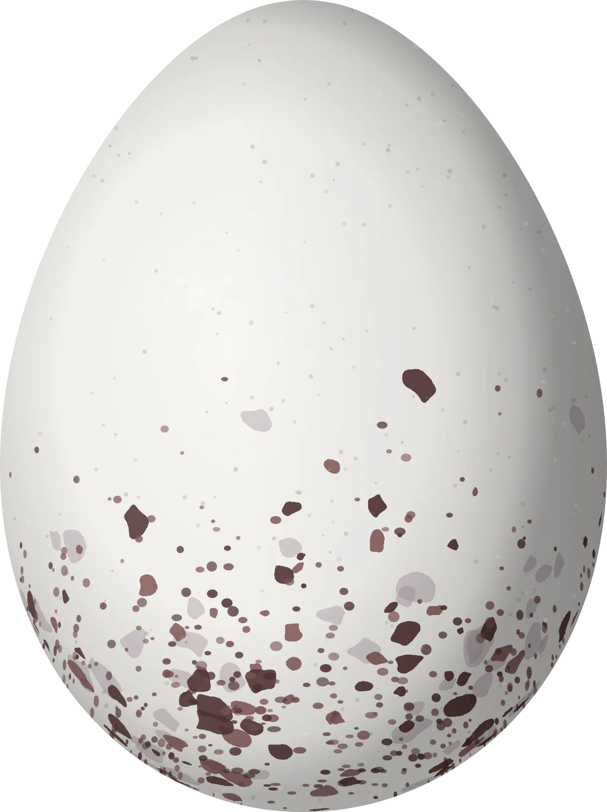 Illustration of a Pacific Antwren (Myrmotherula pacifica) egg, 17.23 × 12.88 mm