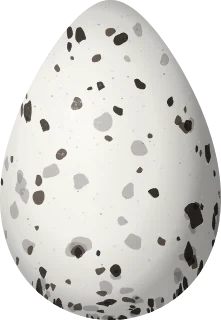 Pacific Golden-Plover egg, 48 × 33.2 mm