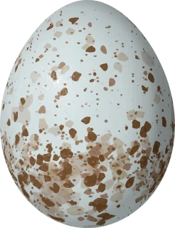 Illustration of a Painted Bunting (Passerina ciris) egg, 18.9 × 14.5 mm