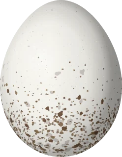 Painted Redstart egg, 16.5 × 12.8 mm