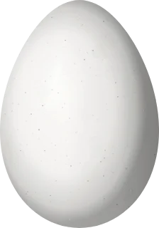 Illustration of a Pale-browed Treehunter (Cichlocolaptes leucophrus) egg, 30.1 × 21.1 mm