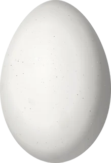 Illustration of a Pale-crested Woodpecker (Celeus lugubris) egg, 29.6 × 20.3 mm