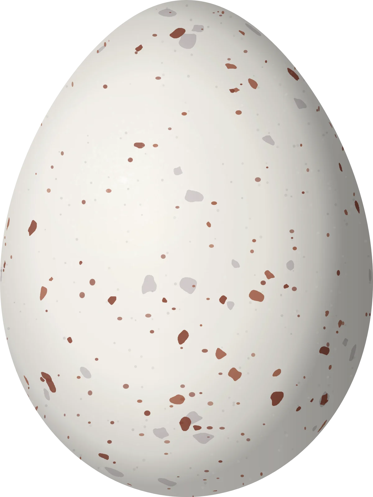 Illustration of a Pale-eyed Pygmy Tyrant (Atalotriccus pilaris) egg, 19.2 × 14.4 mm