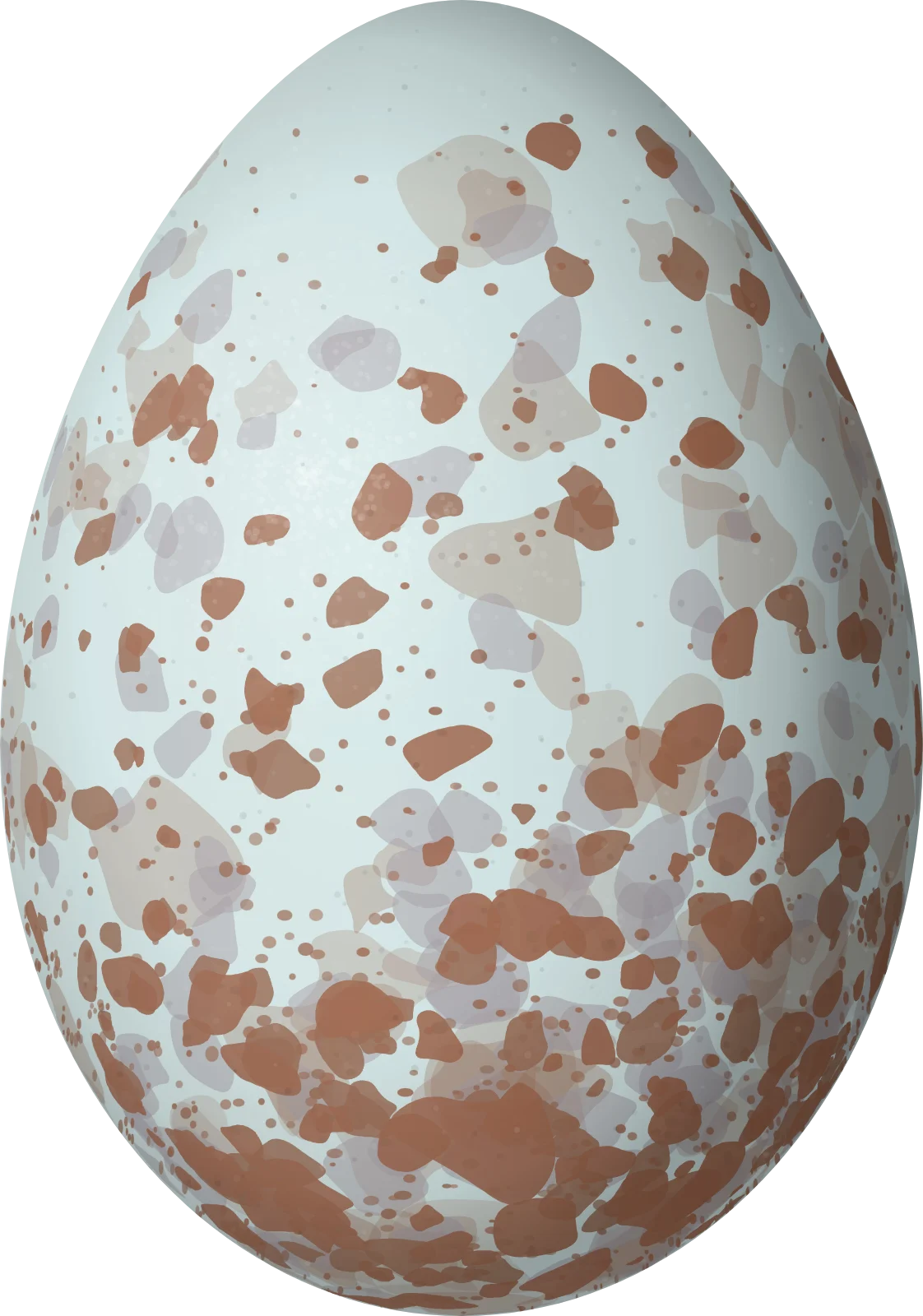 Illustration of a Pale-eyed Thrush (Turdus leucops) egg, 29.1 × 20.4 mm