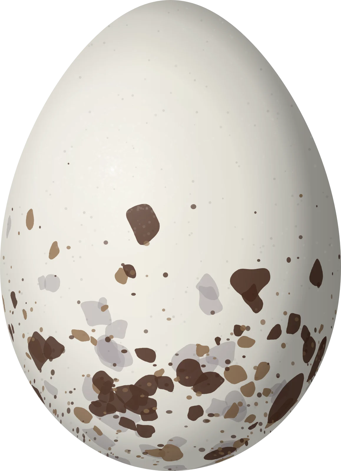 Illustration of a Pale-headed Brushfinch (Atlapetes pallidiceps) egg, 23.98 × 17.36 mm