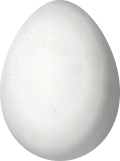 Illustration of a Pale-legged Hornero (Furnarius leucopus) egg, 26.9 × 20 mm