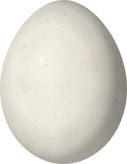 Illustration of a Pale-winged Trumpeter (Psophia leucoptera) egg, 48 × 37 mm