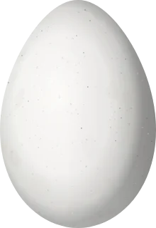Illustration of a Parakeet Auklet (Aethia psittacula) egg, 54.3 × 37.3 mm