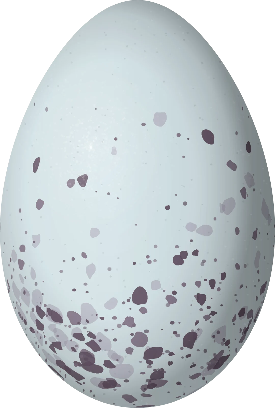 Illustration of a Paramo Seedeater (Catamenia homochroa) egg, 19.4 × 13.1 mm