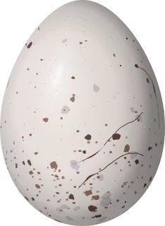 Illustration of a Pardusco (Nephelornis oneilli) egg, 20.5 × 15 mm