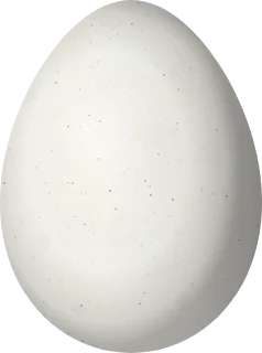 Illustration of a Patagonian Canastero (Pseudasthenes patagonica) egg, 20.4 × 15.2 mm