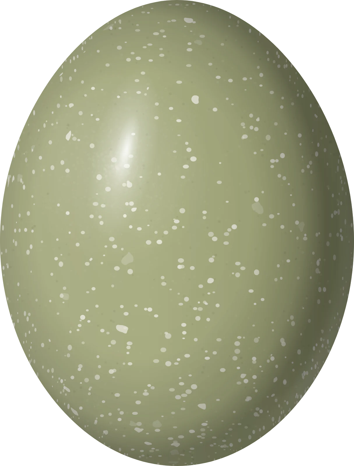 Illustration of a Patagonian Tinamou (Tinamotis ingoufi) egg, 54 × 41 mm