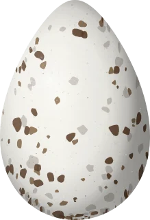 Pectoral Sandpiper egg, 36.5 × 25 mm