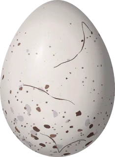 Illustration of a Peg-billed Finch (Acanthidops bairdi) egg, 20.5 × 15 mm