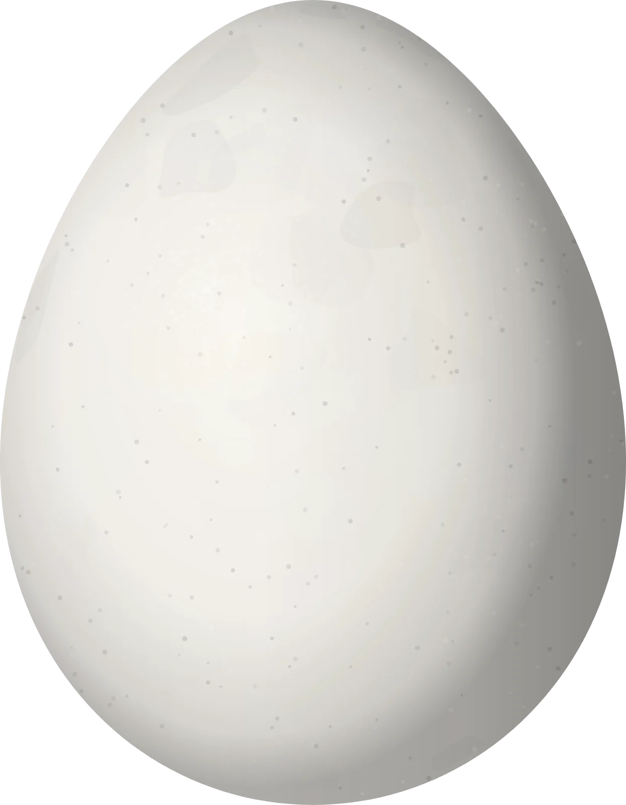 Illustration of a Perija Tapaculo (Scytalopus perijanus) egg, 22.9 × 17.8 mm