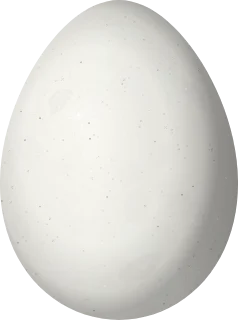Illustration of a Pernambuco Foliage-gleaner (Automolus lammi) egg, 26.6 × 19.8 mm