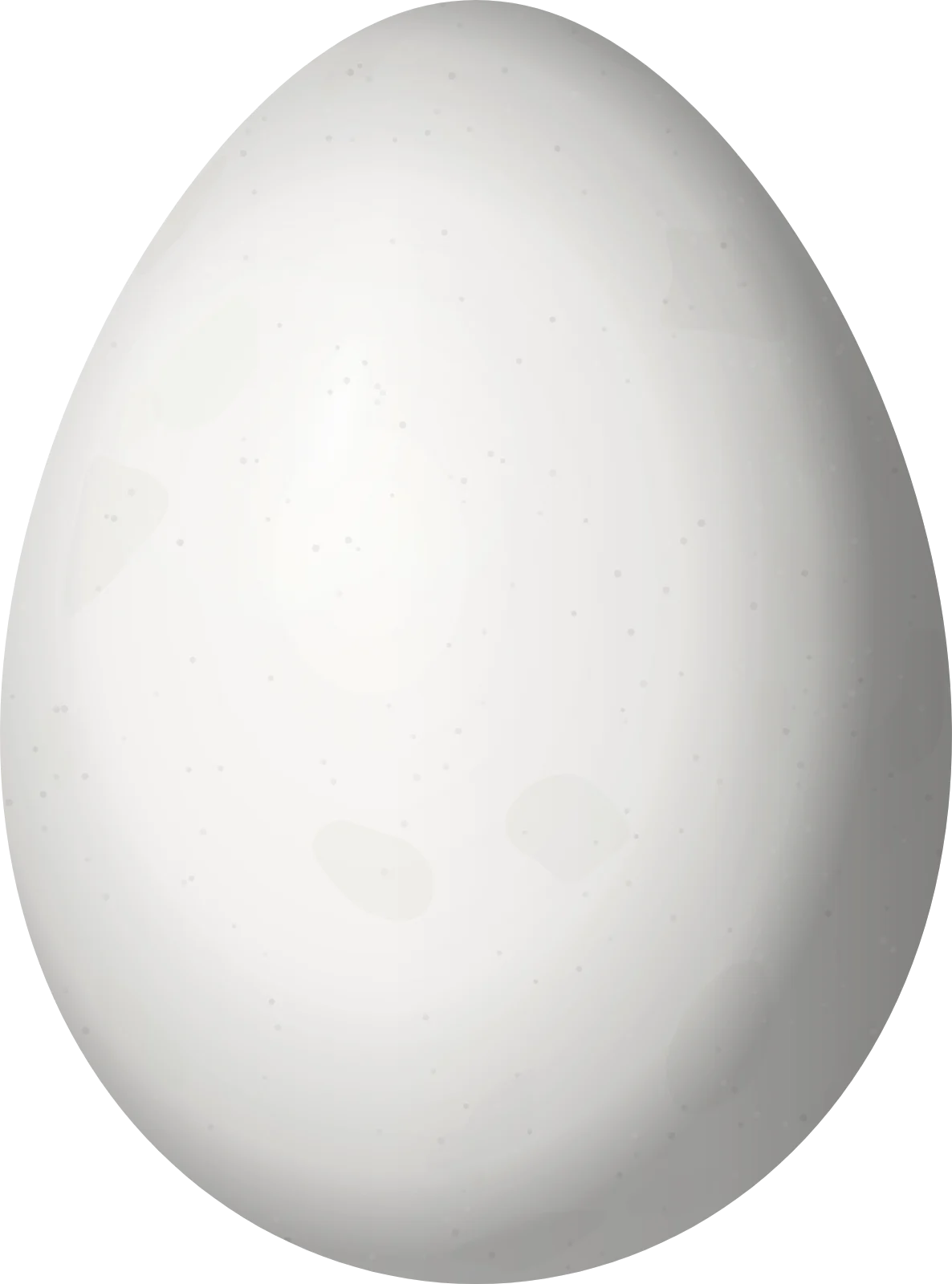 Illustration of a Peruvian Recurvebill (Syndactyla ucayalae) egg, 23.6 × 17.5 mm