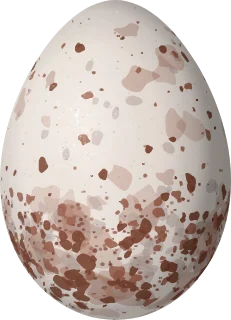 Illustration of a Peruvian Wren (Cinnycerthia peruana) egg, 18 × 13 mm