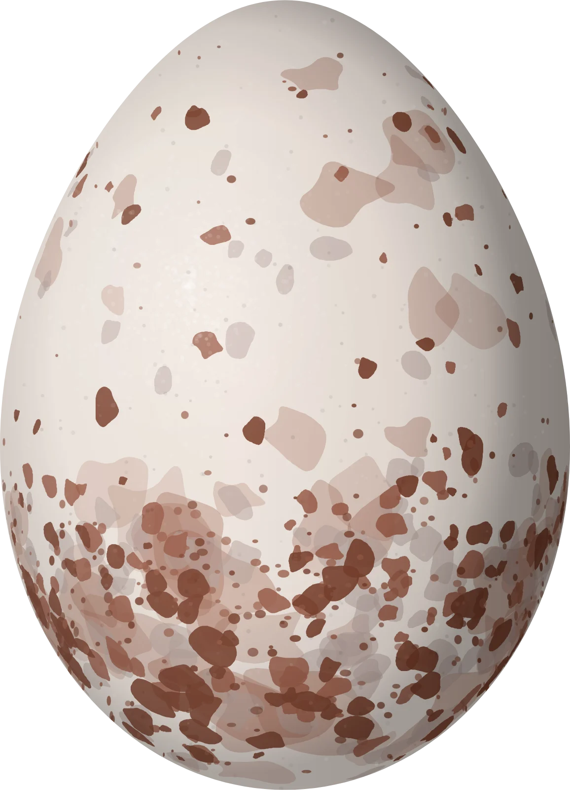 Illustration of a Peruvian Wren (Cinnycerthia peruana) egg, 18 × 13 mm