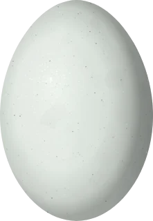 Illustration of a Pied-billed Grebe (Podilymbus podiceps) egg, 43.4 × 30 mm