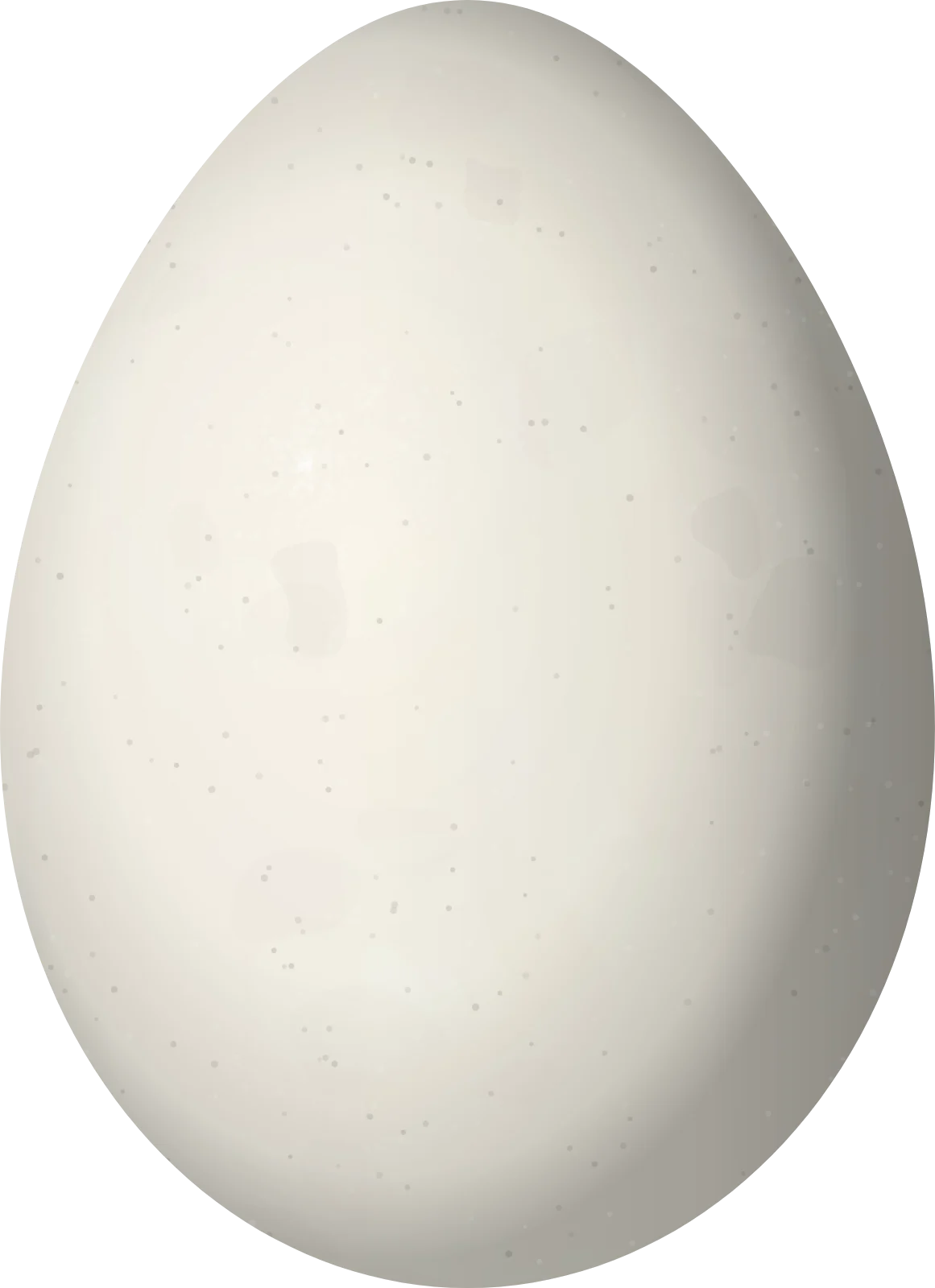 Illustration of a Pied-crested Tit-Tyrant (Anairetes reguloides) egg, 16.4 × 11.9 mm