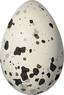 Illustration of a Pigeon Guillemot (Cepphus columba) egg, 60.5 × 41 mm