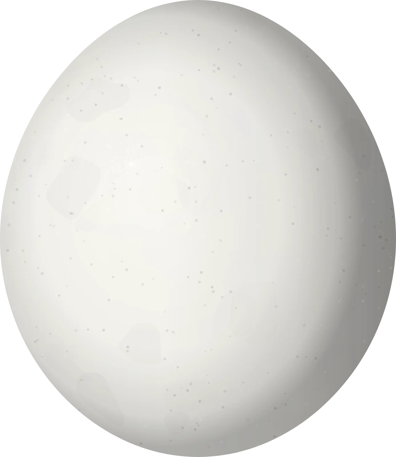 Illustration of a Pileated Parrot (Pionopsitta pileata) egg, 26 × 22.5 mm