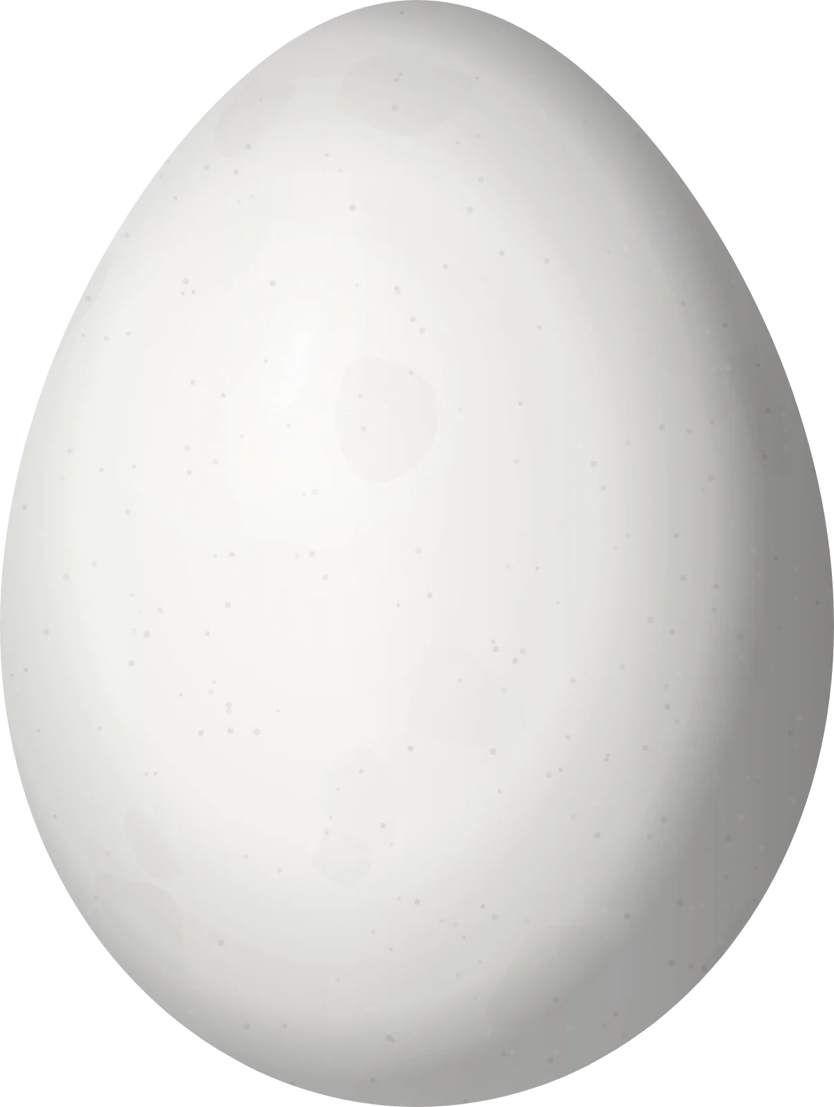 Illustration of a Pin-tailed Whydah (Vidua macroura) egg, 15.8 × 11.9 mm